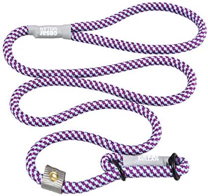 Cesar Millan Slip Lead Leash | Dog Leash | in Training Leash