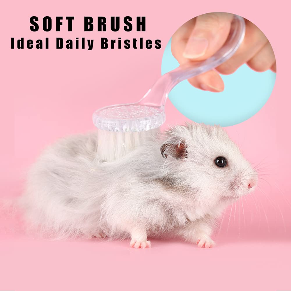 2 Pack Hamster Brush, Guinea Pig Massage Combs, Hedgehog Supplies