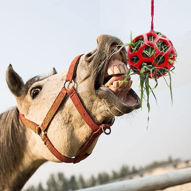 Horse Treat Ball,Goat Feeder Hanging Feeding Toy Horse Treat Hay