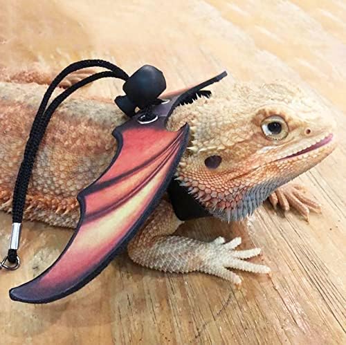 ADOGGYGO Bearded Dragon Lizard Leash Harness, 3 Size Pack, Orange