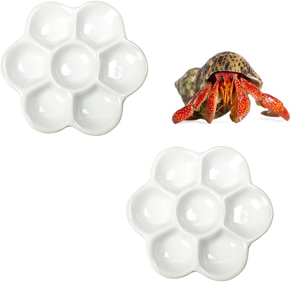 DQITJ 2 Pcs Hermit Crab Ceramic Food Dish