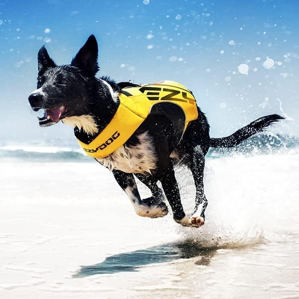 EzyDog DFD X2 Dog Life Jacket, Grab Handle, Reflective Trim - Large
