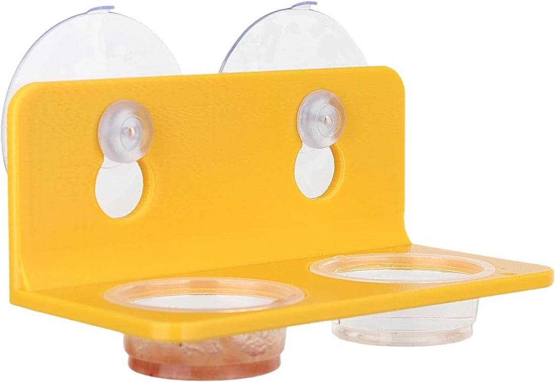 Crested Gecko Feeding Ledge with 10PCS Reptile Food Cups