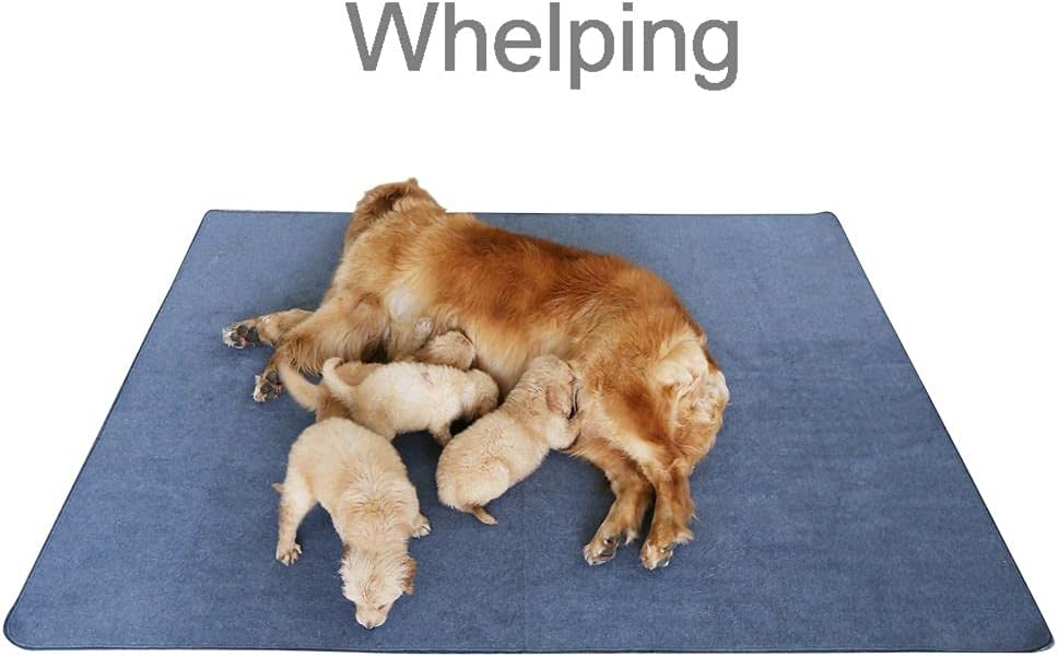 Peepeego Non-Slip Dog Pads Extra Large 72" x 72"