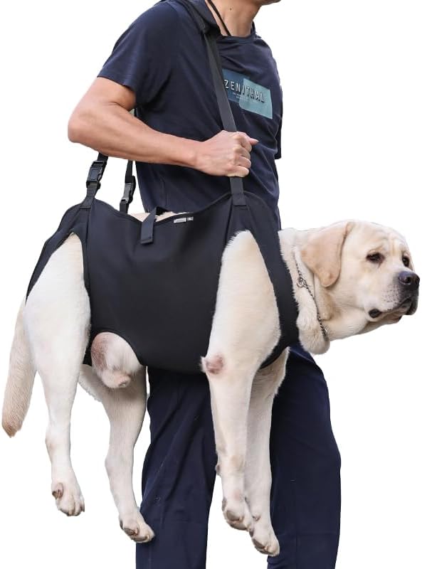 Full Body Lift Harness for Dogs,Canine Support Rehabilitation Dog