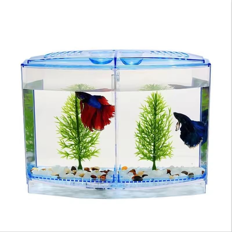 EatingBiting Large Double Compartment Fighting Fish Box Eco Rumble