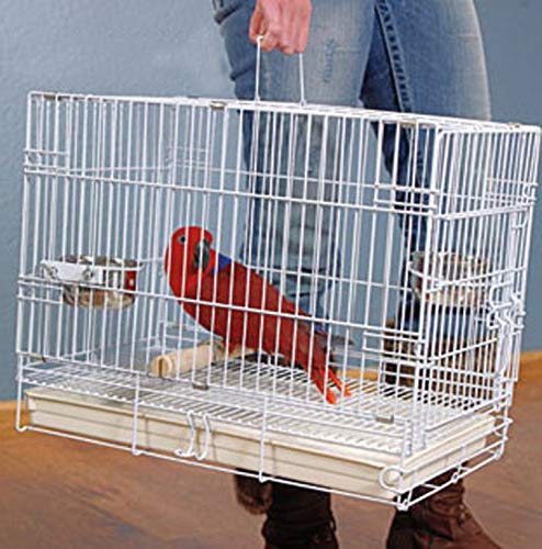 Large Portable Durable Metal Travel or Veterinary Easy Collapsable