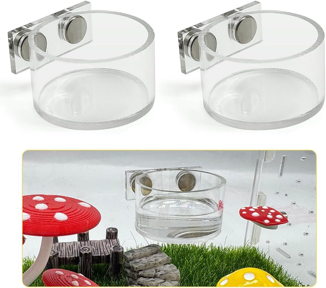 2 Pcs Jumping Spider Feeding Dish, Magnetic Water Bowl