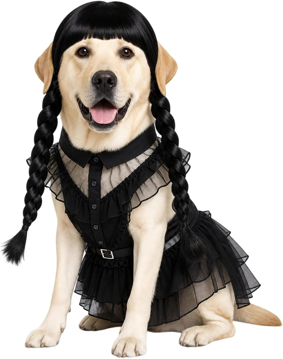 3pcs Halloween Dog Costumes for Medium Dogs Funny Set AN002M