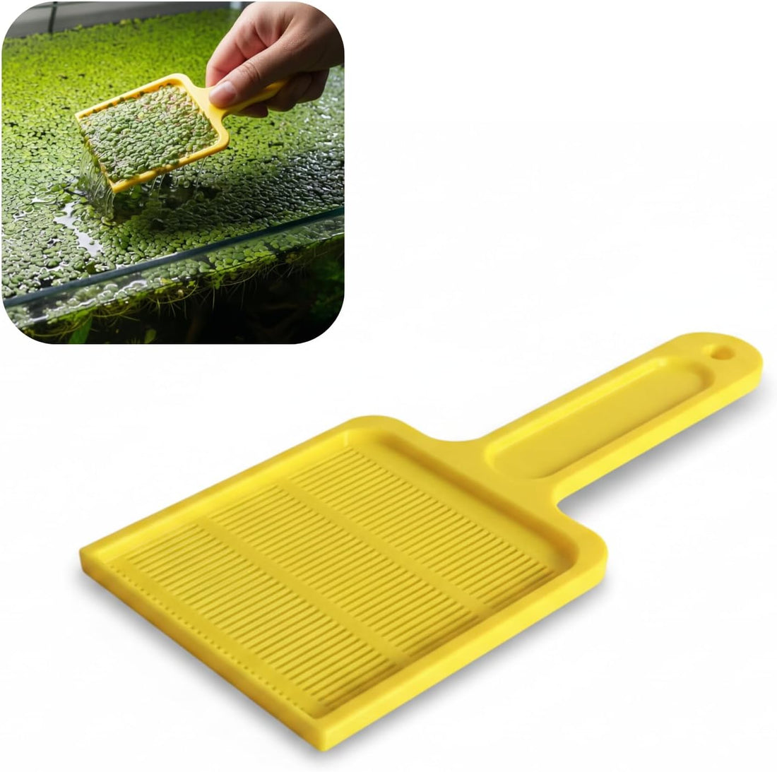 Duckweed Remover Tool for Aquarium, Floating Plant Skimmer