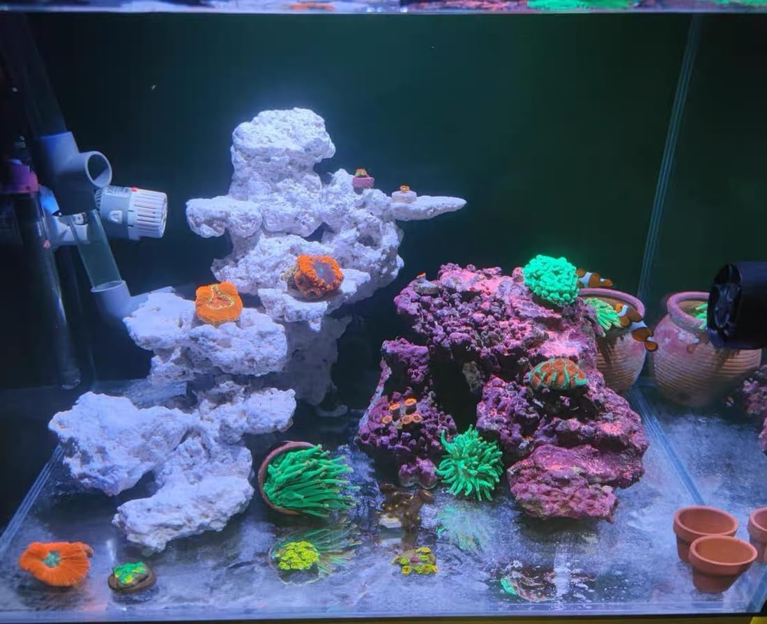 YZHZOM Dry Base Rock for Aquarium White Coral Ornament Sea Base Rocks