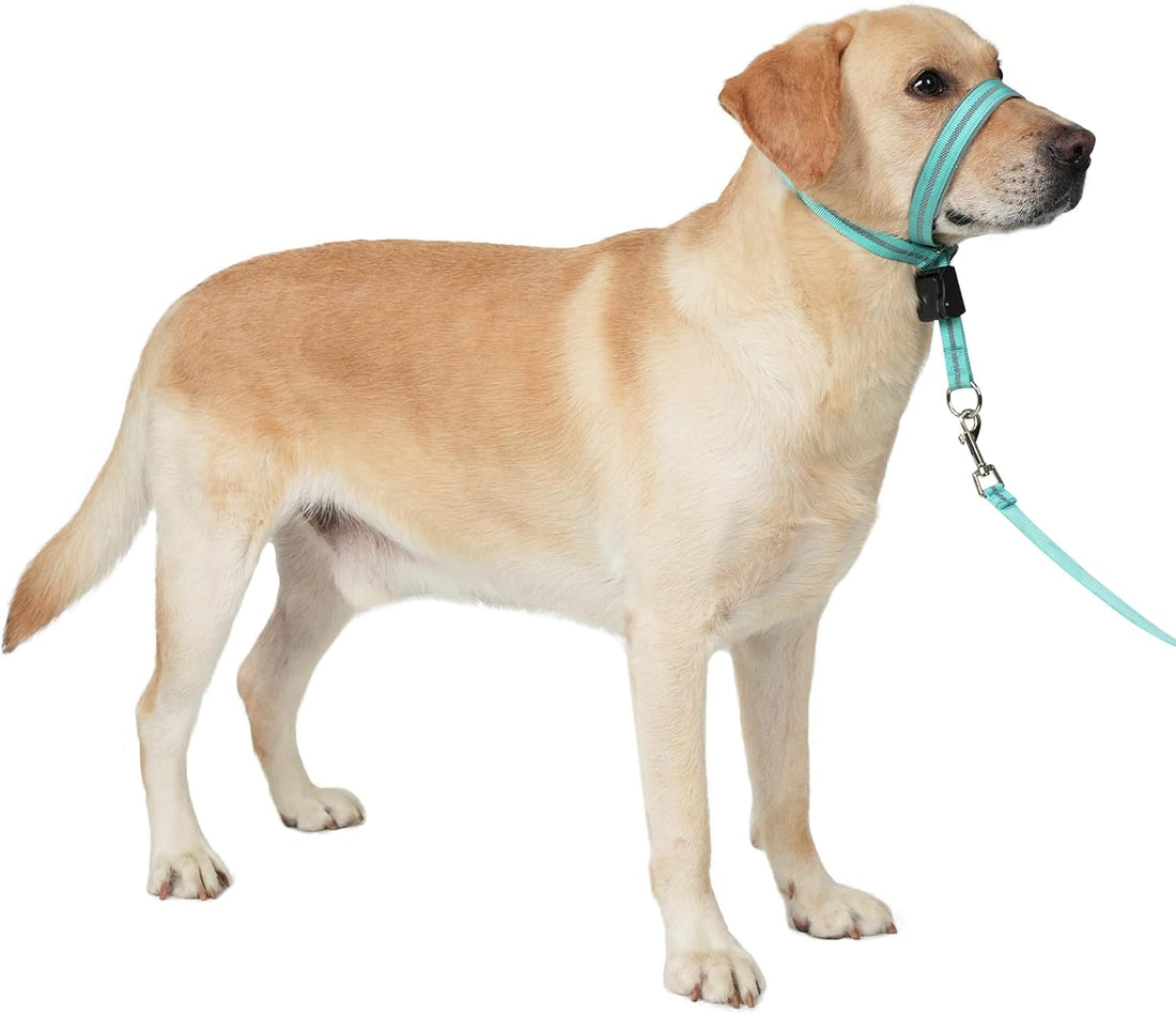 BARKLESS Dog Head Collar, Reflective Head Halter for Small Medium Dogs