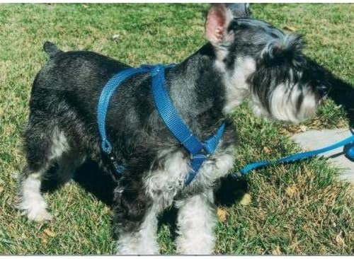 Kwik Klip Adjustable Nylon Pet Harness, Red, X-Small