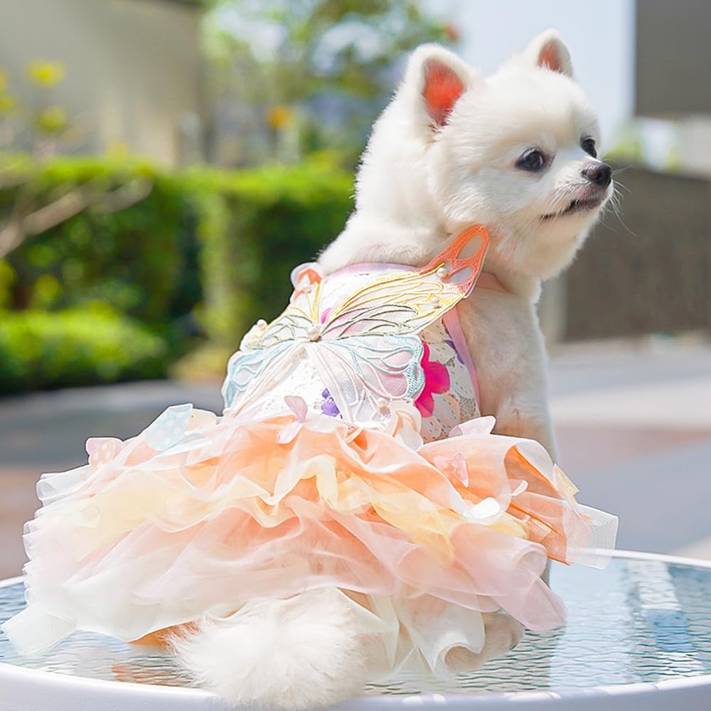 Dog Rainbow Butterfly Princess Dress Summer Thin