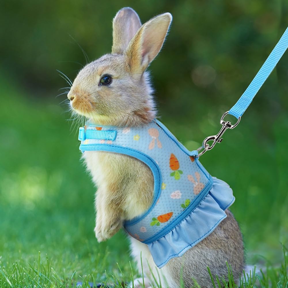 Guinea Pig Harness & Leash Set
