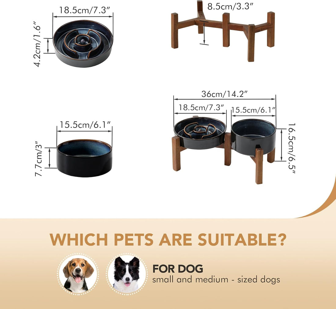 Havniva 1.2 Cup Elevated Slow Feeder Dog Bowls