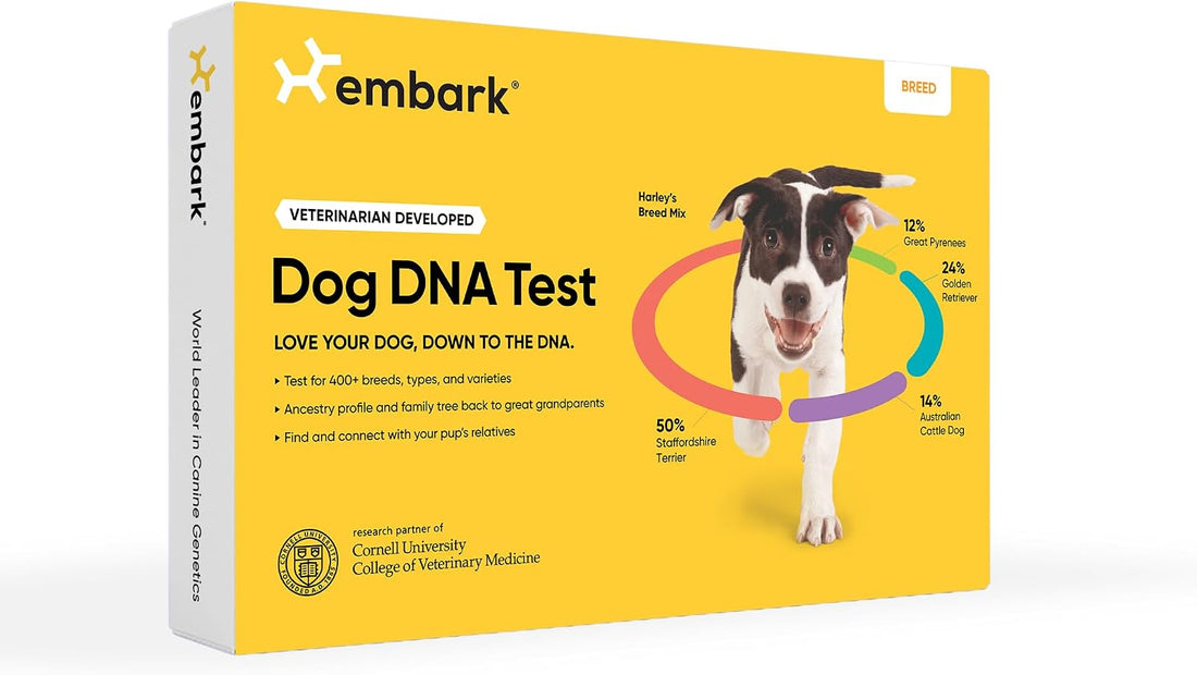Embark Breed Identification Kit - Most Accurate Dog DNA Testing Kit