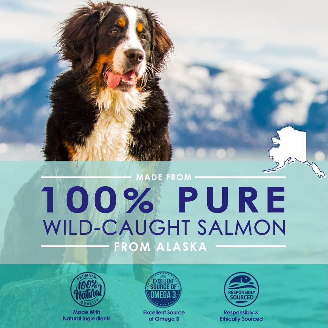 Pure Wild Alaskan Salmon Oil for Dogs