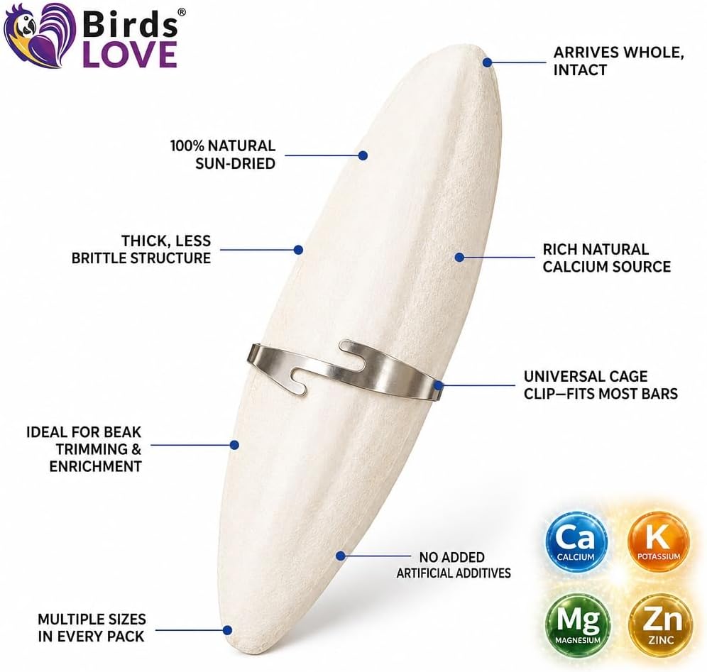 Birds LOVE 3.5-4โณ Cuttlebone for Birds