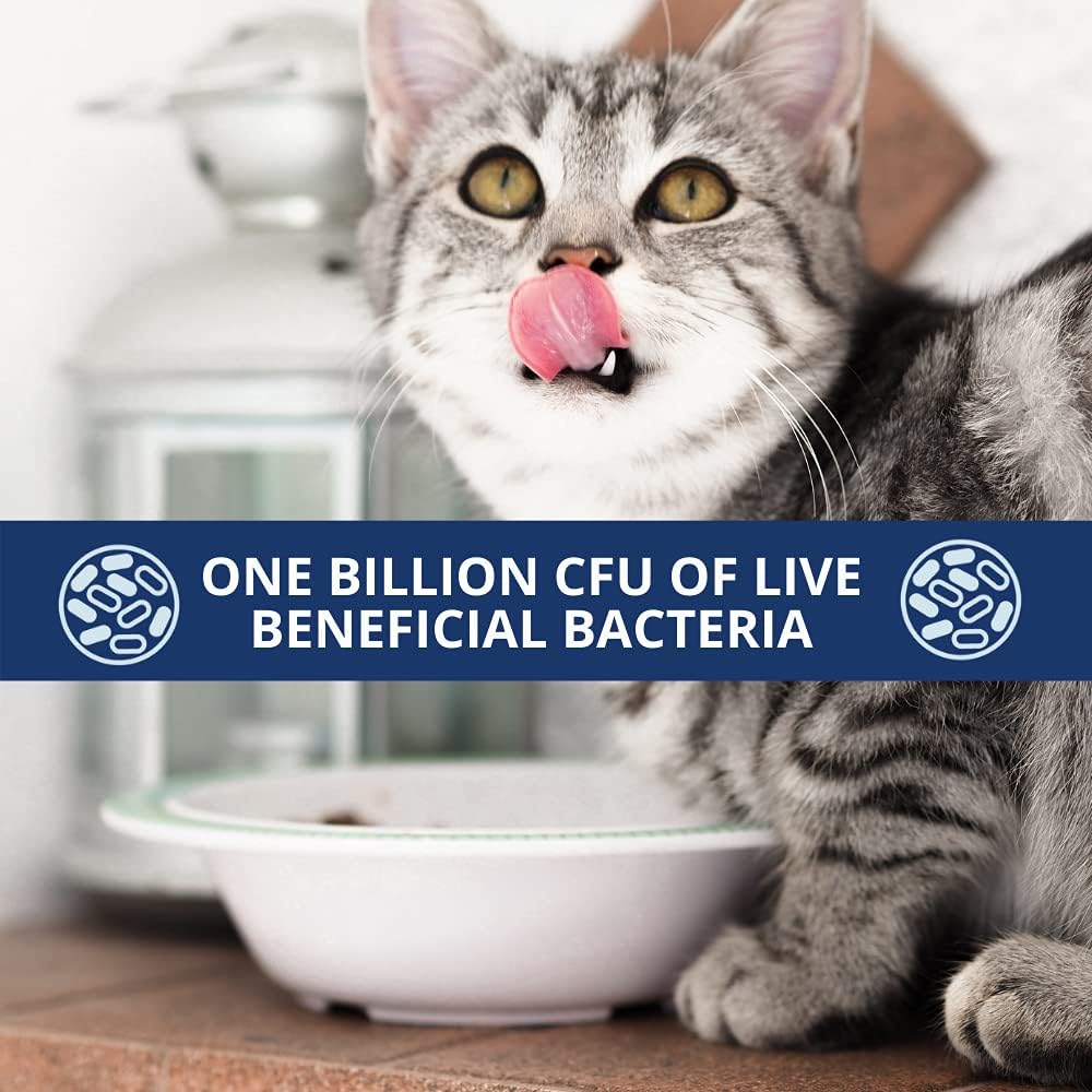 Under the Weather Pet Probiotics Powder for Cats