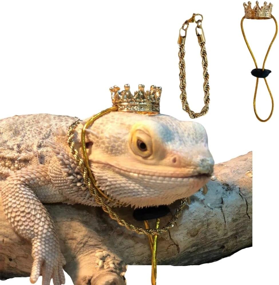 2Pcs Lizard Crown Necklace Set Metal Lizard Outfit Reptile Clothes