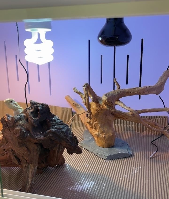 AWXZOM Natural Large Spider Wood Driftwood for Aquarium, Terrarium