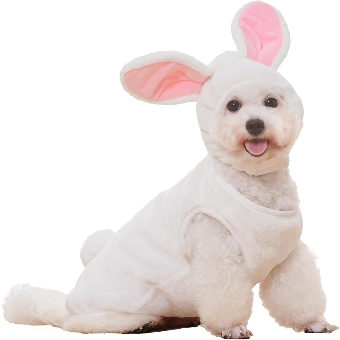 Pet Costume for Small Dogs Cats Halloween Hoodies Puppy Coat