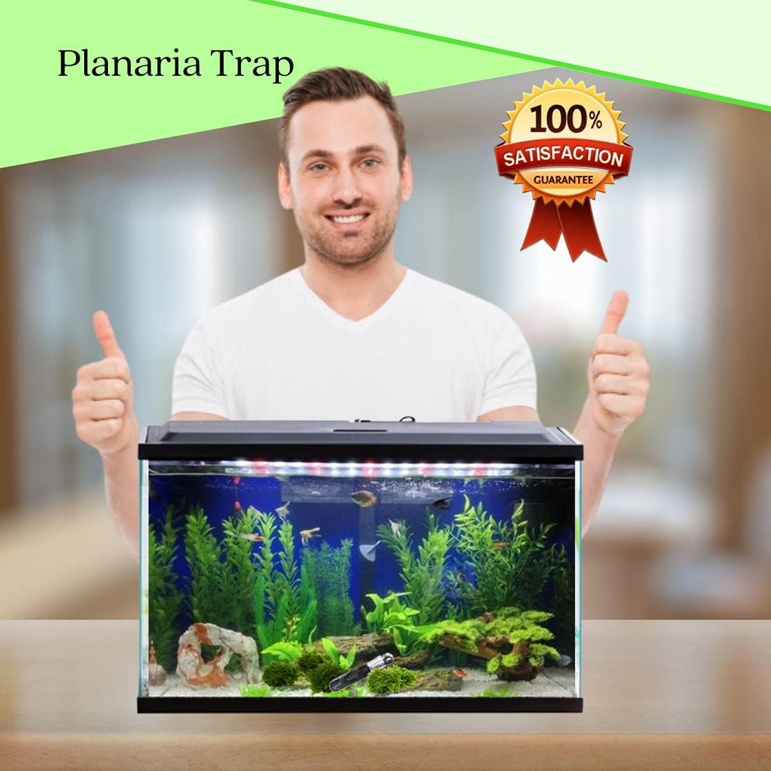 Planaria Trap Crystal Red Shrimp Tank Aquarium Bristle Worm Catcher
