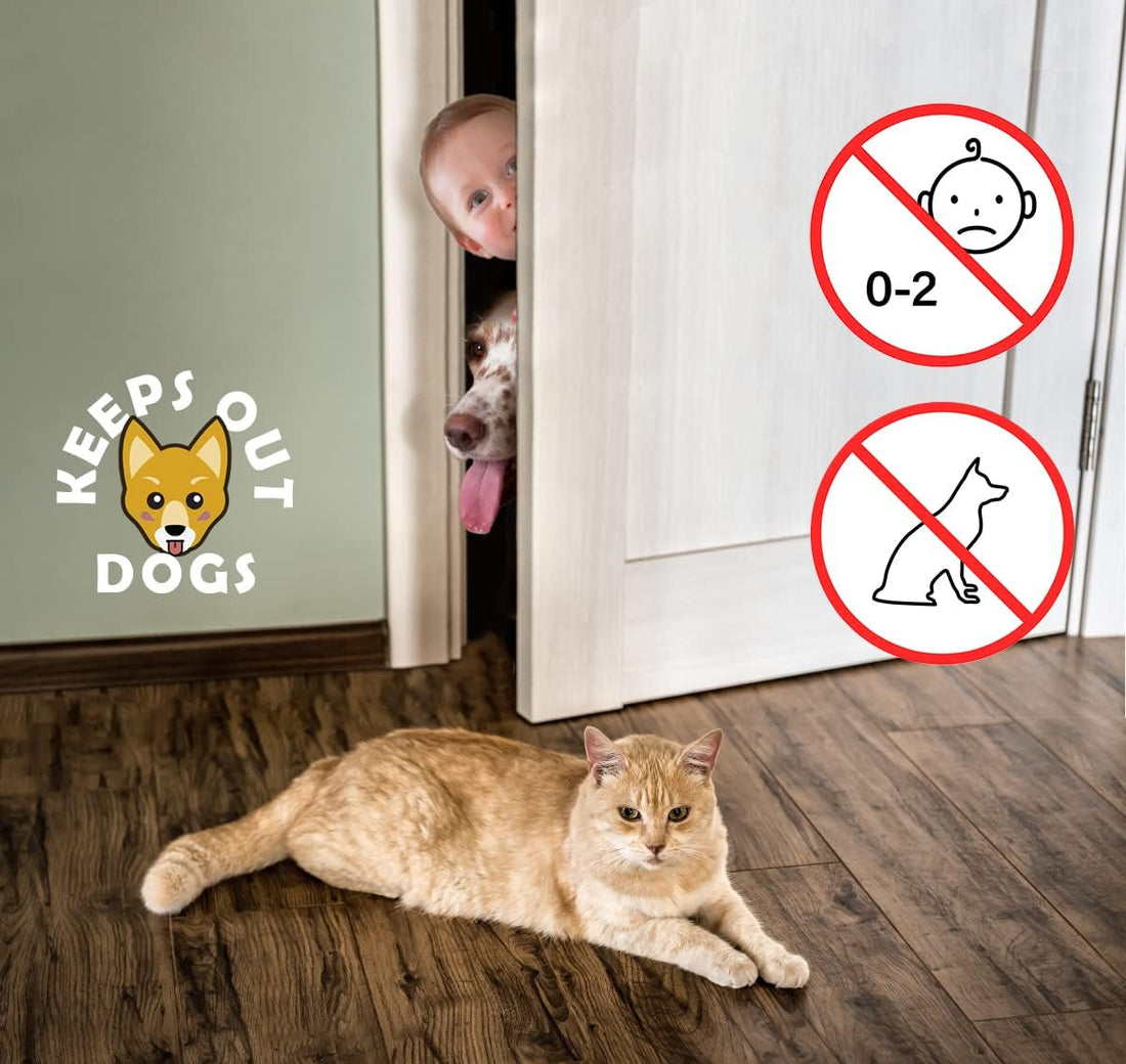 Elilier Cat Door Latch Holder
