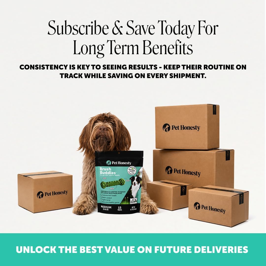 Pet Honesty Brush Buddies All Natural Dog Dental Treats for Dogs