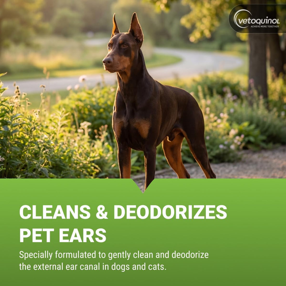 Vetoquinol Ear Cleansing Solution for Dogs and Cats - 16oz