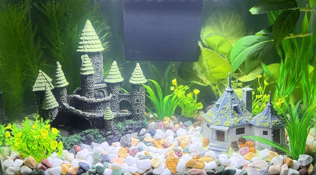 Small Aquarium Gravel for Fish Tank