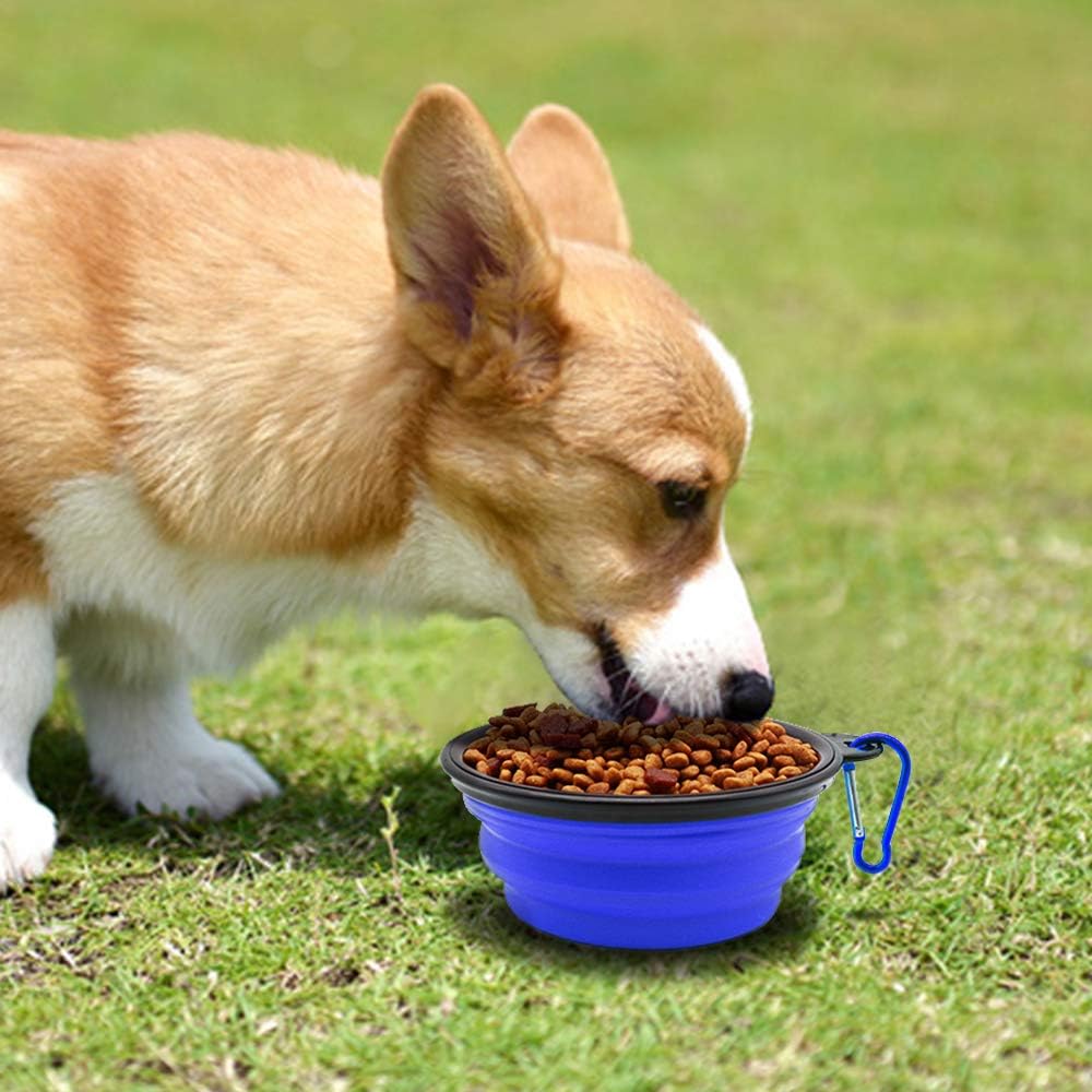 Collapsible Dog & Cat Bowls, Two-Pack