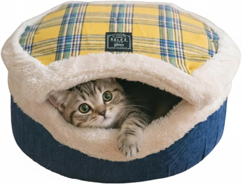 Cat Bed Cave - Enclosed Hideaway with Detachable Lid for Kitten