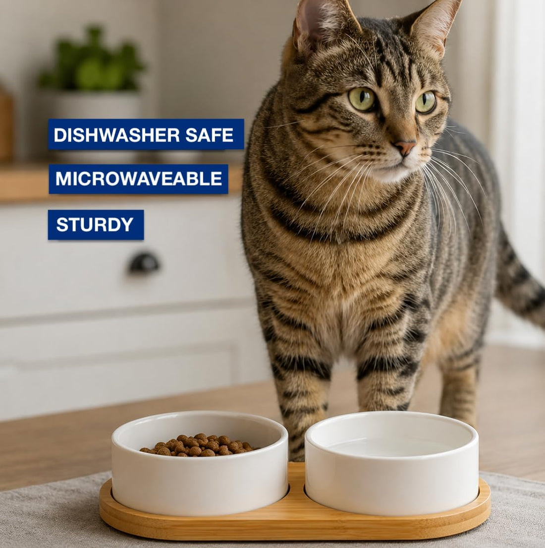 Ceramic Small Dog and Cat Bowls-Set of 2 Pet Dishes with Non-Slip