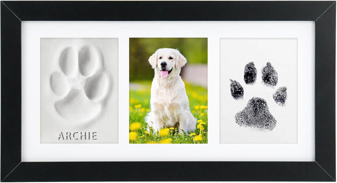Paw Print Frame Kit, Dog Memorial Gifts for Loss of Dog with No Toxic