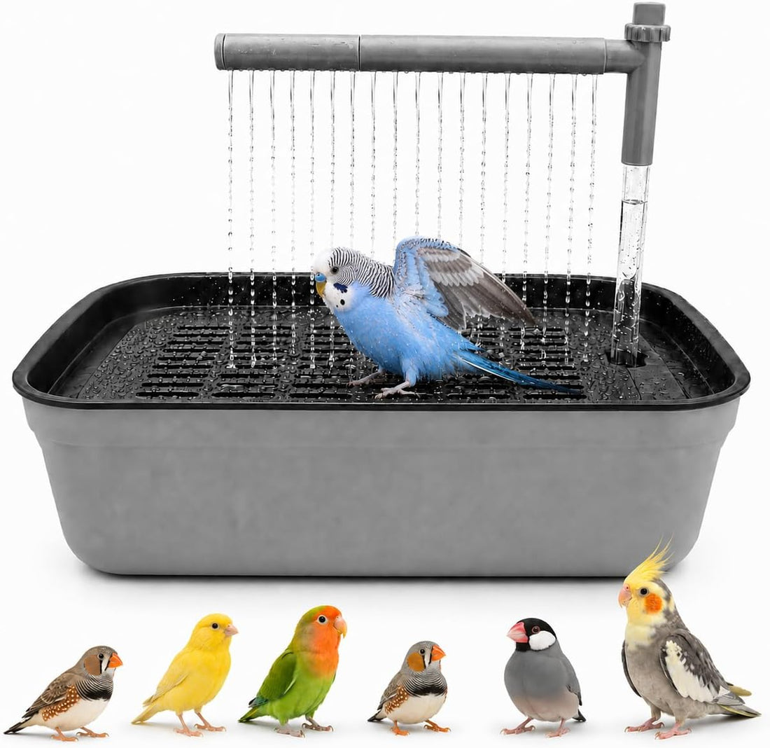 AMYJOY Automatic Bird Bath for Cage, USB Parakeet Shower Fountain
