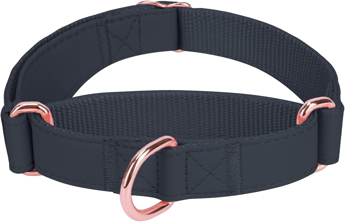 Soft Leather Martingale Dog Collar