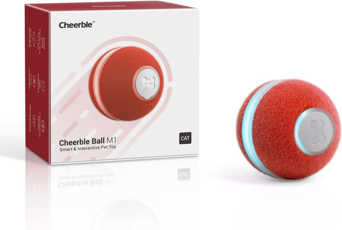 Cheerble Interactive Cat Ball Toy