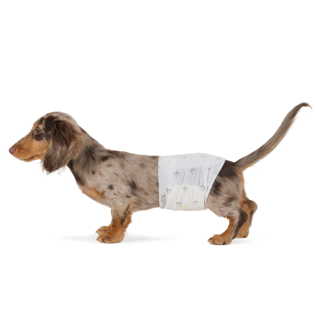 Absorbent, Leakproof Male Dog Wrap Disposable Diapers with Wetness