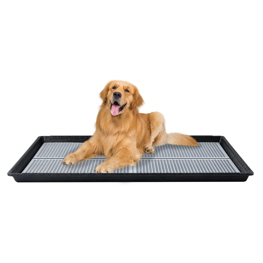 HQ4US Dog Pee Pad Holder Tray with Grate