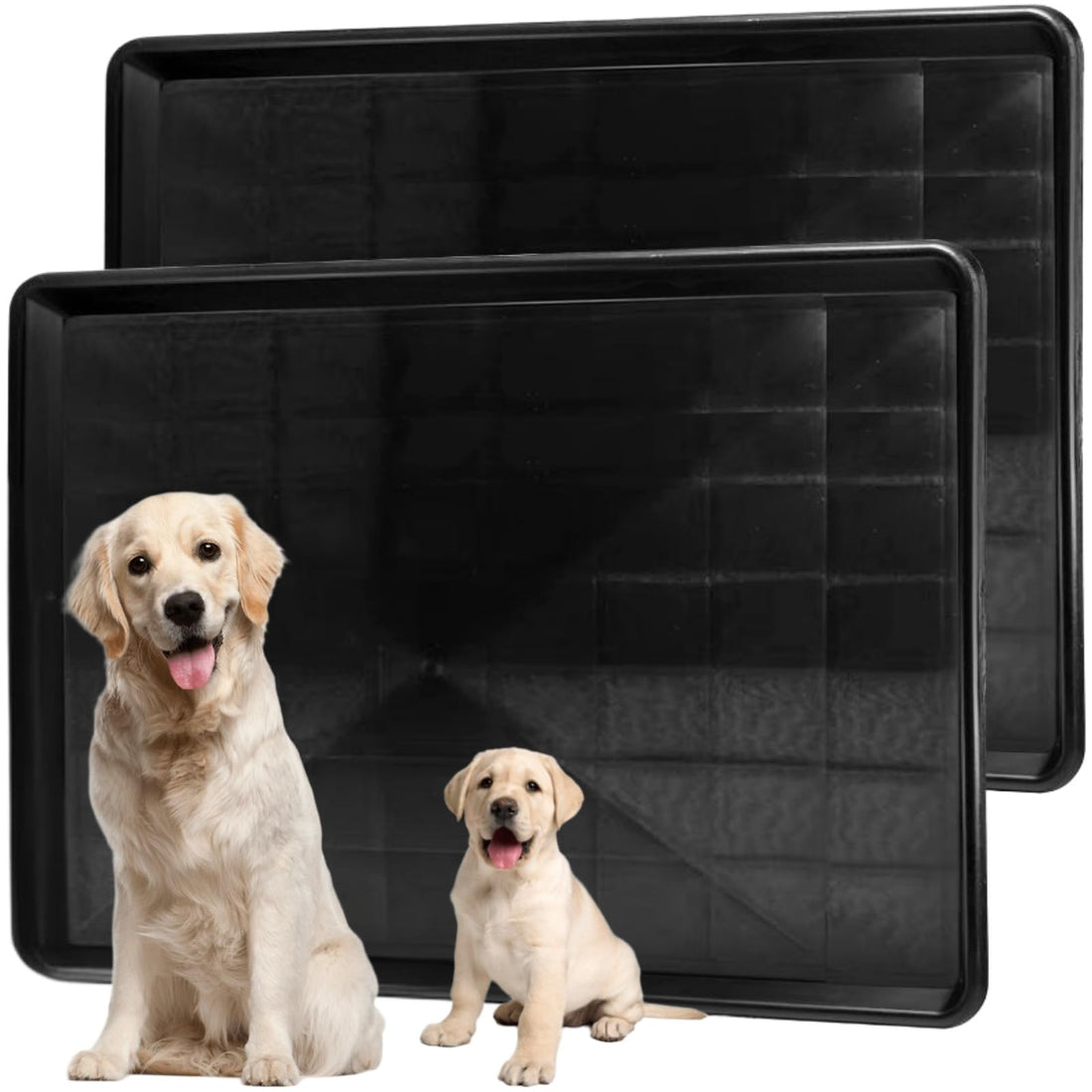 Acshio 2 Pack Dog Crate Tray