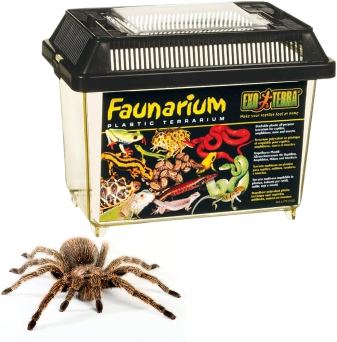 Exo Terra Faunarium Small Plastic Reptile Terrarium & Transport