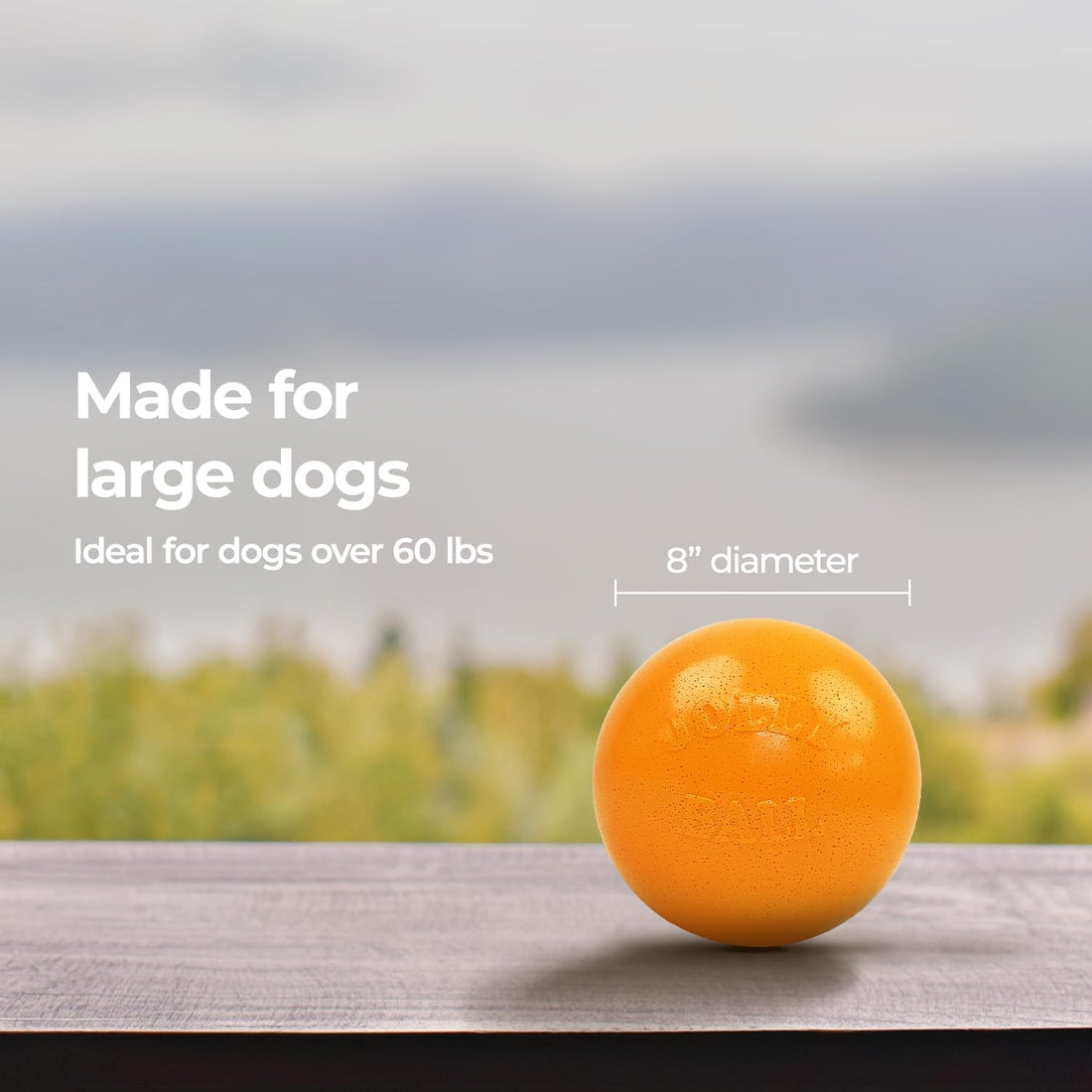 Jolly Pets Bounce-n-Play Dog Toy Ball, 8 Inches/Large, Orange,