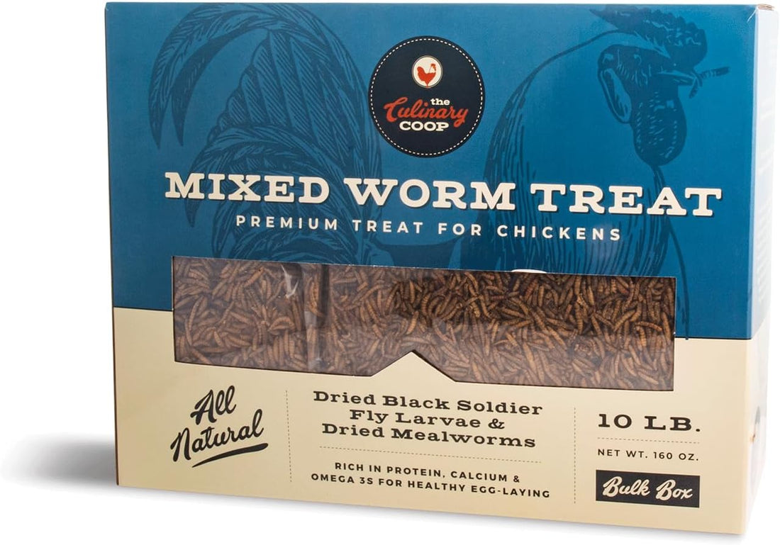 Fluker's Culinary Coop Premium Chicken Treats, Dried Soldier Worms