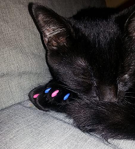 40 Pack Soft Nail Caps for Cat Claws Clear