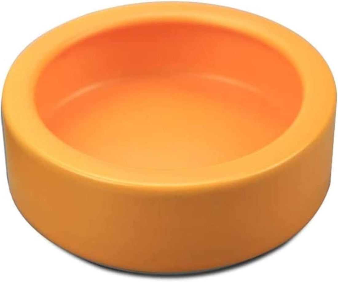 Reptile Food Dish Bowl 2Pcs Lizard Gecko Worm Water Bowls Small