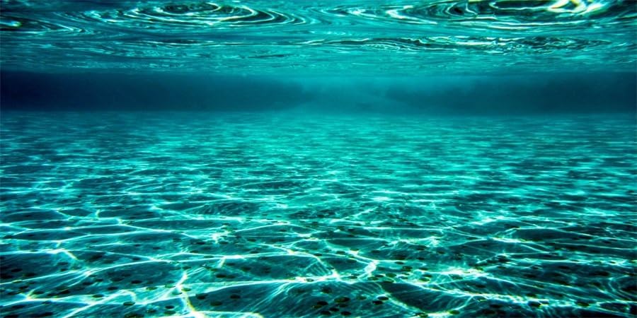 YongFoto Ocean Theme Fish Tank Background 30x18 inch
