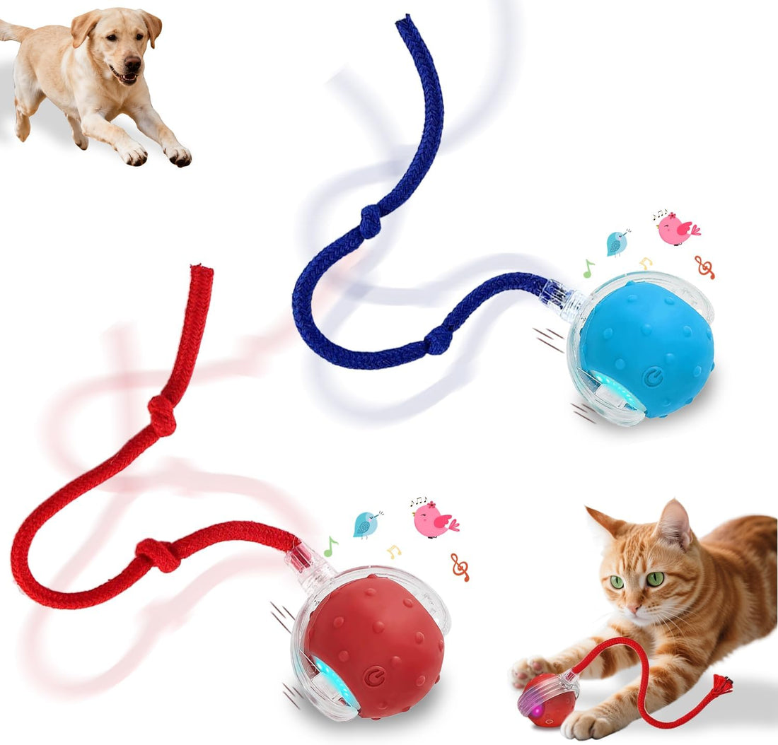 Interactive Cat Toys Smart Ball for Cats & Dogs! Now with 2 Rapid