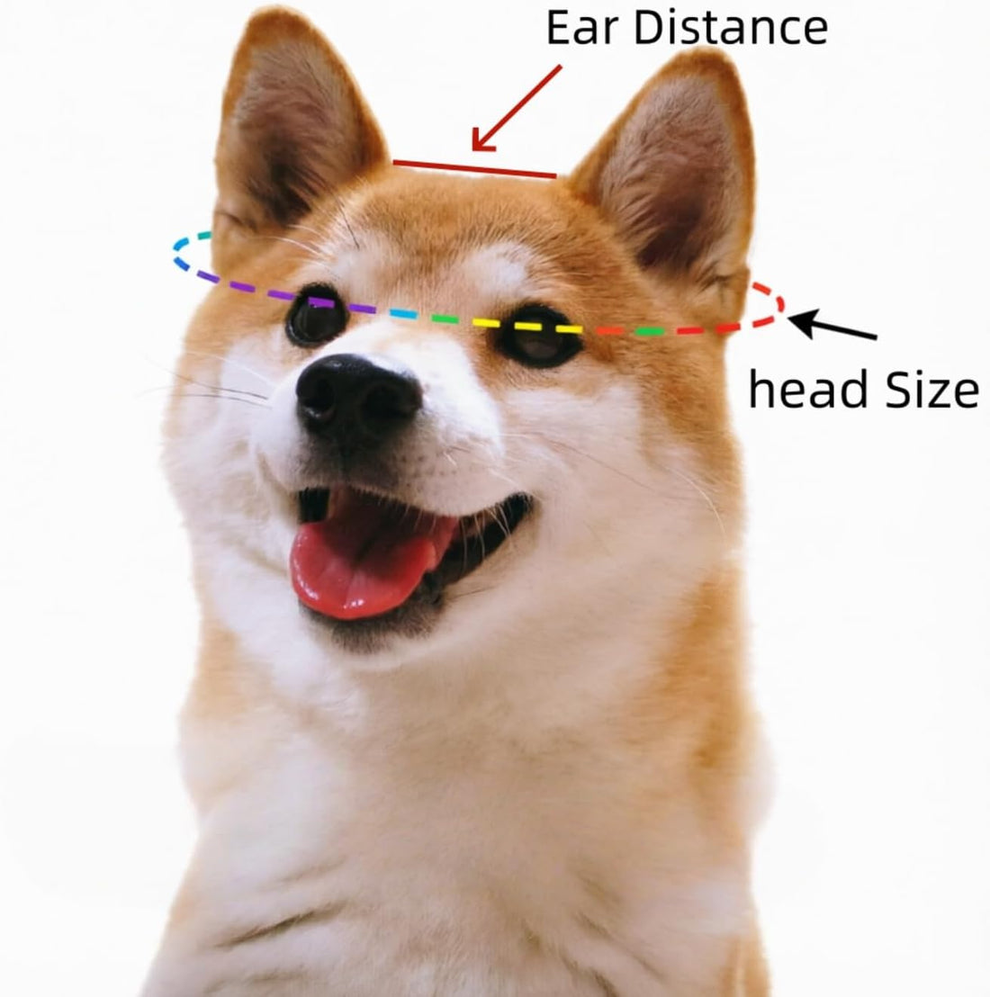 Dog Bucket Hat with Ear Holes, Adjustable Summer Sunscreen Cap